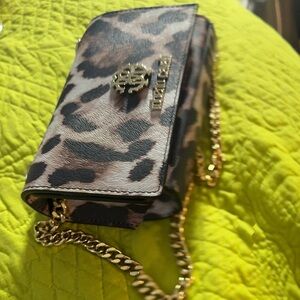 smaller size purse with cheetah print and gold chain link strap. It’s gorgeous.